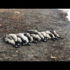 Meet your Posher, Dylan